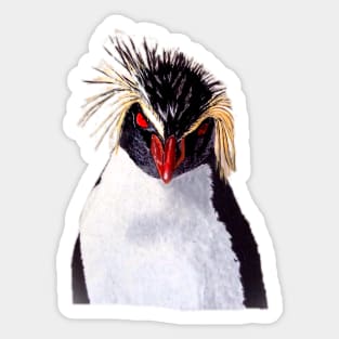 Rockhopper Penguin Sticker